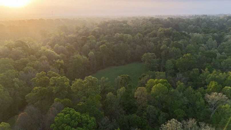 Claiborne Co-314-Fernandez-16