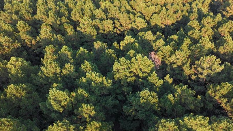 DJI_20250918180421_0197_D