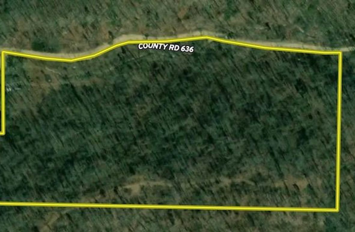 Screenshot 2025-08-28 at 12.19.35 PM