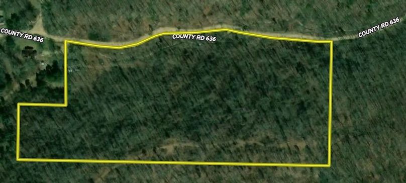 Screenshot 2025-08-28 at 12.19.35 PM