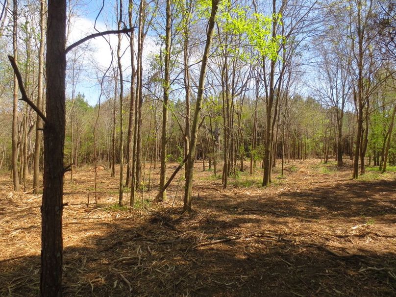 2F8C00F5-BCF7-454E-BCBE-385FF6D23913_1_105_c