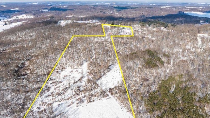 08-z 18408 Brushy004-Edit