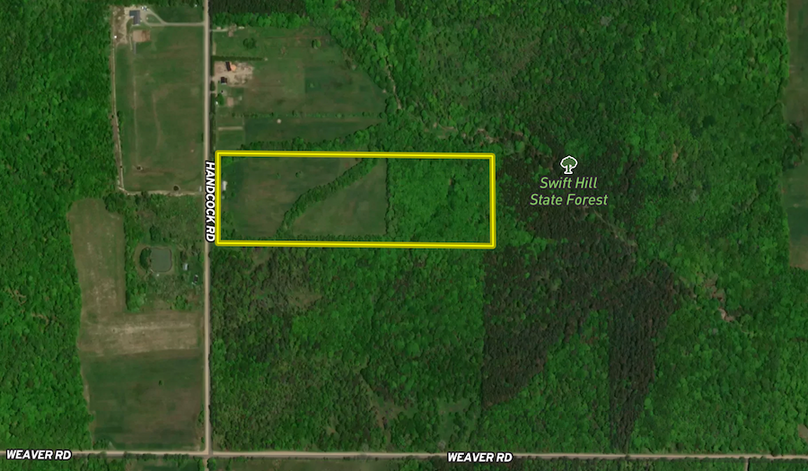 Screenshot 2024-07-03 at 11.33.49 AM