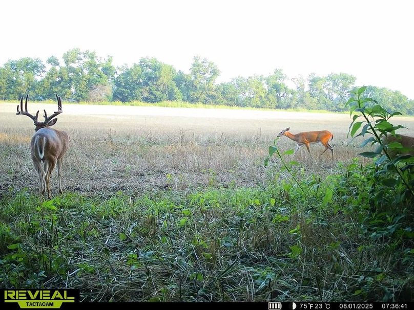 860322064709196-100-3-08012025193807-HD-SYEW0522