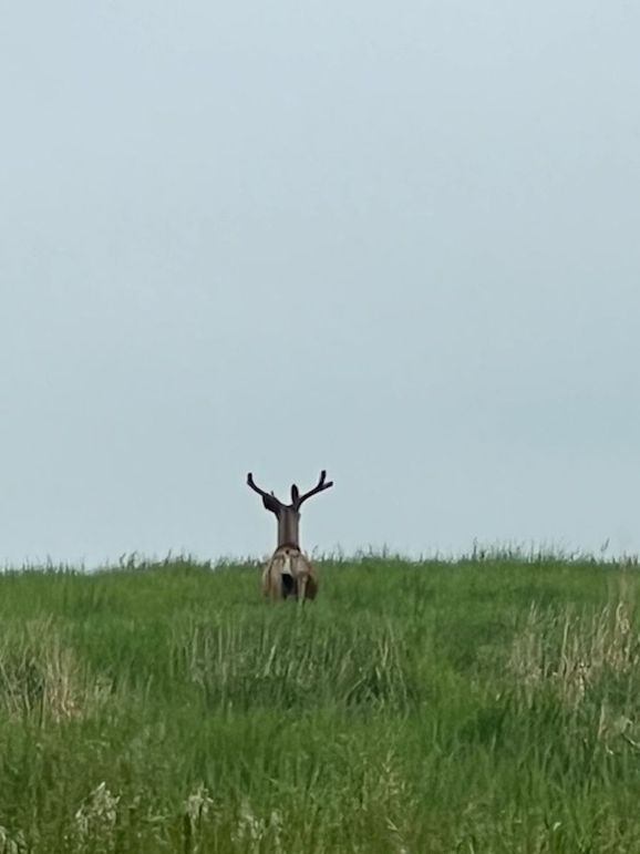 456e128d-d5b5-43ab-be13-3483baaa1856