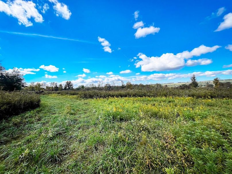 Tompkins_30.32_Hildreth_Estate_Phoros_27