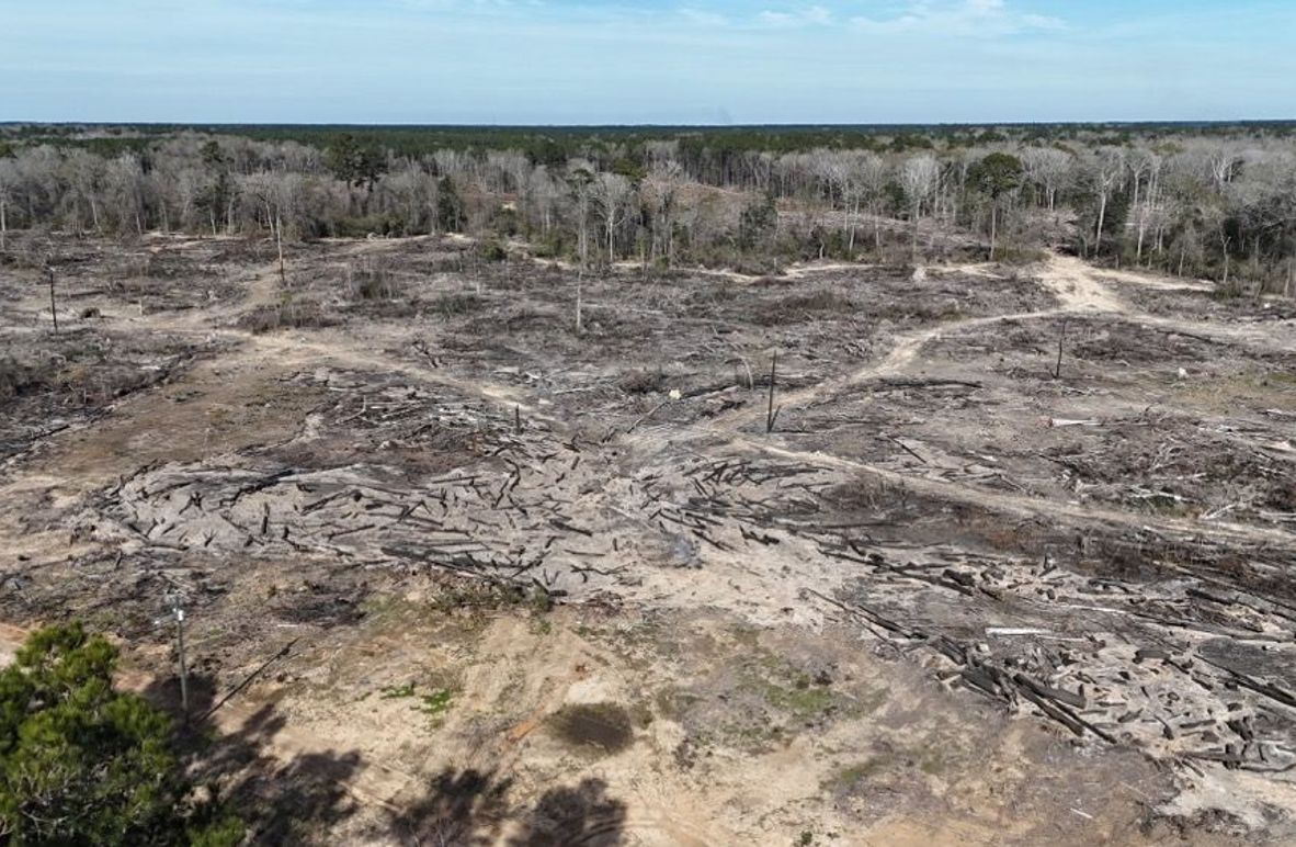 DJI_20260120135136_0032_D