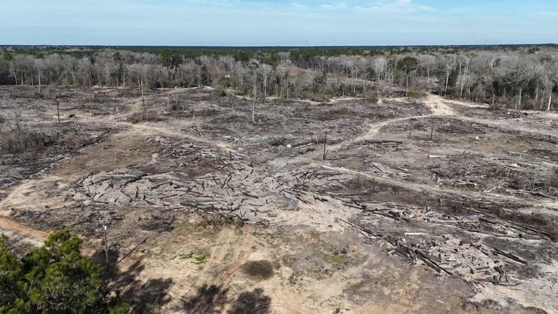 DJI_20260120135136_0032_D