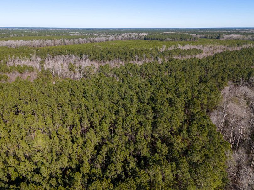 Pender NC 382 - Edits-41