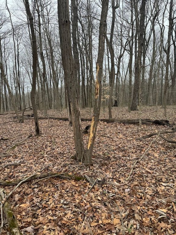 Maury Co TN 102 Bowers Pic5