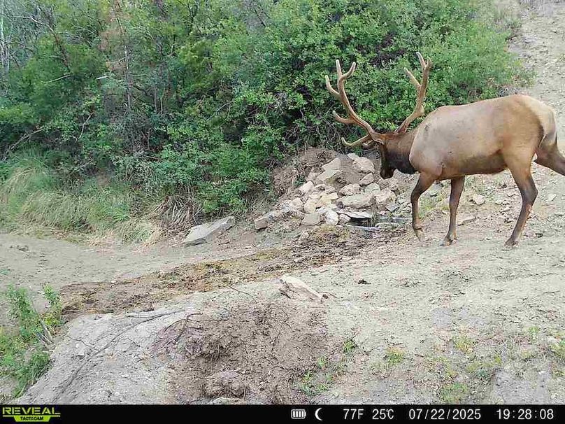 860516063676799-100-3-07222025192808-V-W1010392