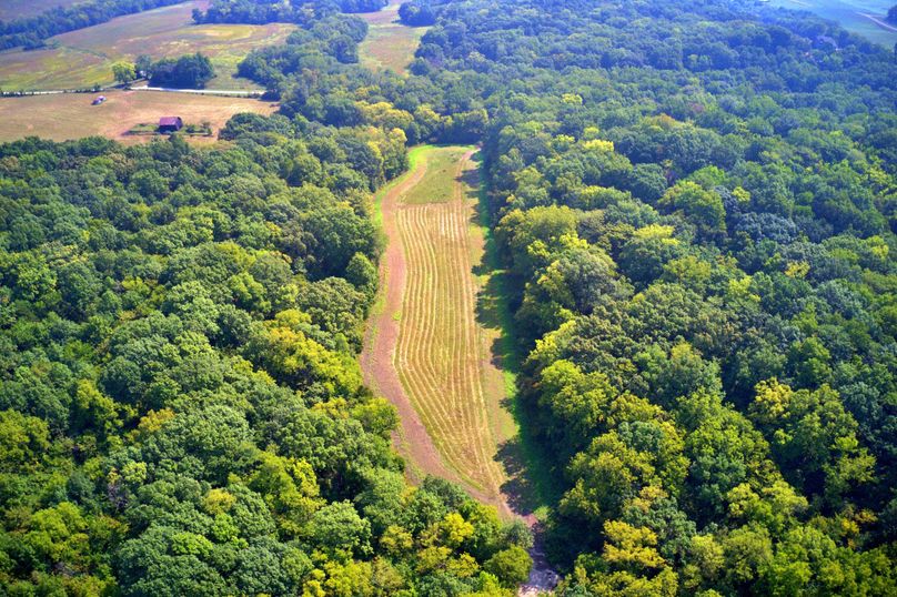 DJI_0175