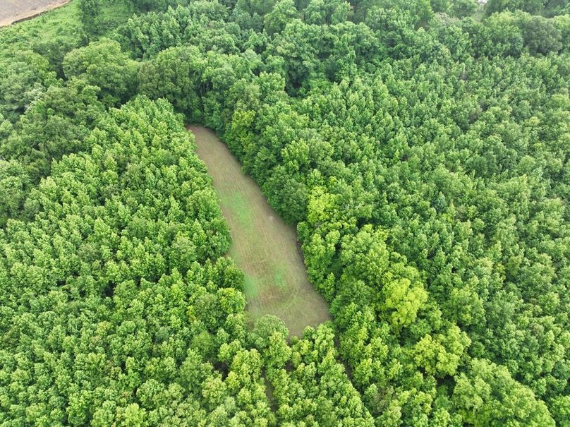 dji_fly_20260523_120410_485_1779631837941_photo