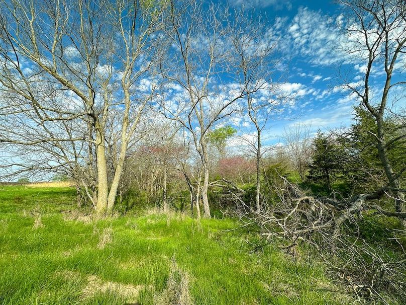 Lot3_19