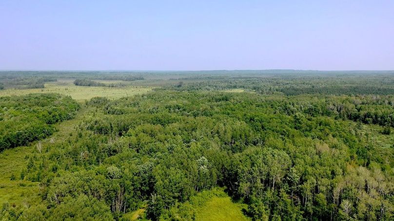 Screenshot 2024-07-29 at 10.09.37 AM copy