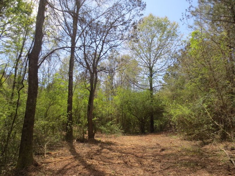 A9245313-5694-4EBF-AFC9-EE0915536DAD_1_105_c