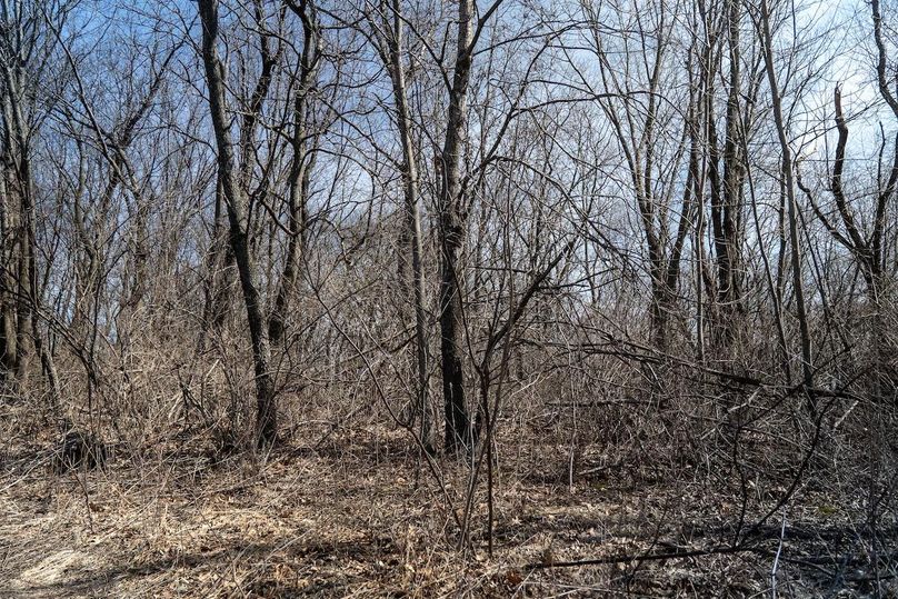 Whiteside IL 49.22_25