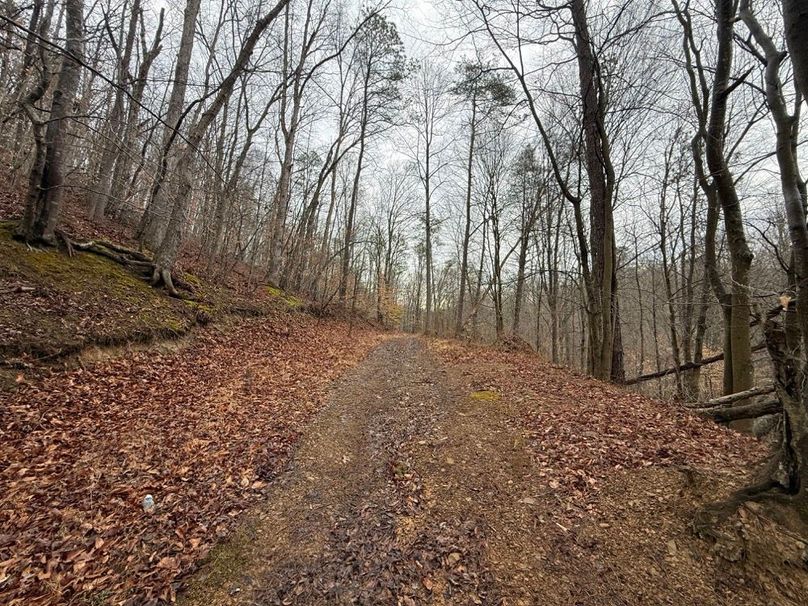 022 main trail leading to the south up from the doublewide mobile home