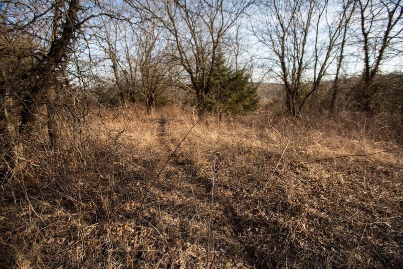 PAGE CO IA 130+_-_44