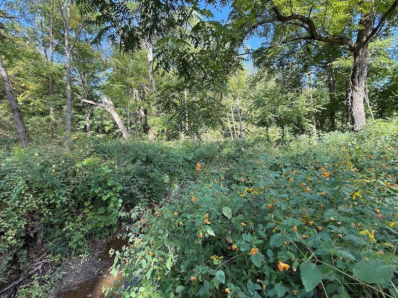 Cayuga_5.7_Cotten Photo 11