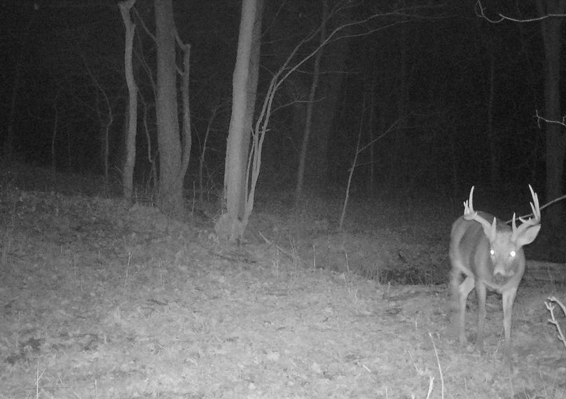 3C665AE9-1E0C-4EDF-BE3D-15B49938F537