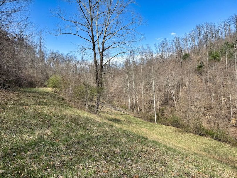 038 view from the road at the head of the valley