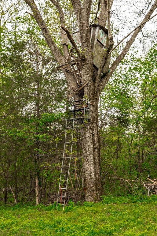 69-web-or-mls-1103 Johnny Spears Rd-60