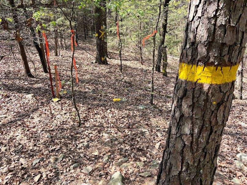 534AB39F-317C-467F-9F46-D8401FC7A762_1_201_a