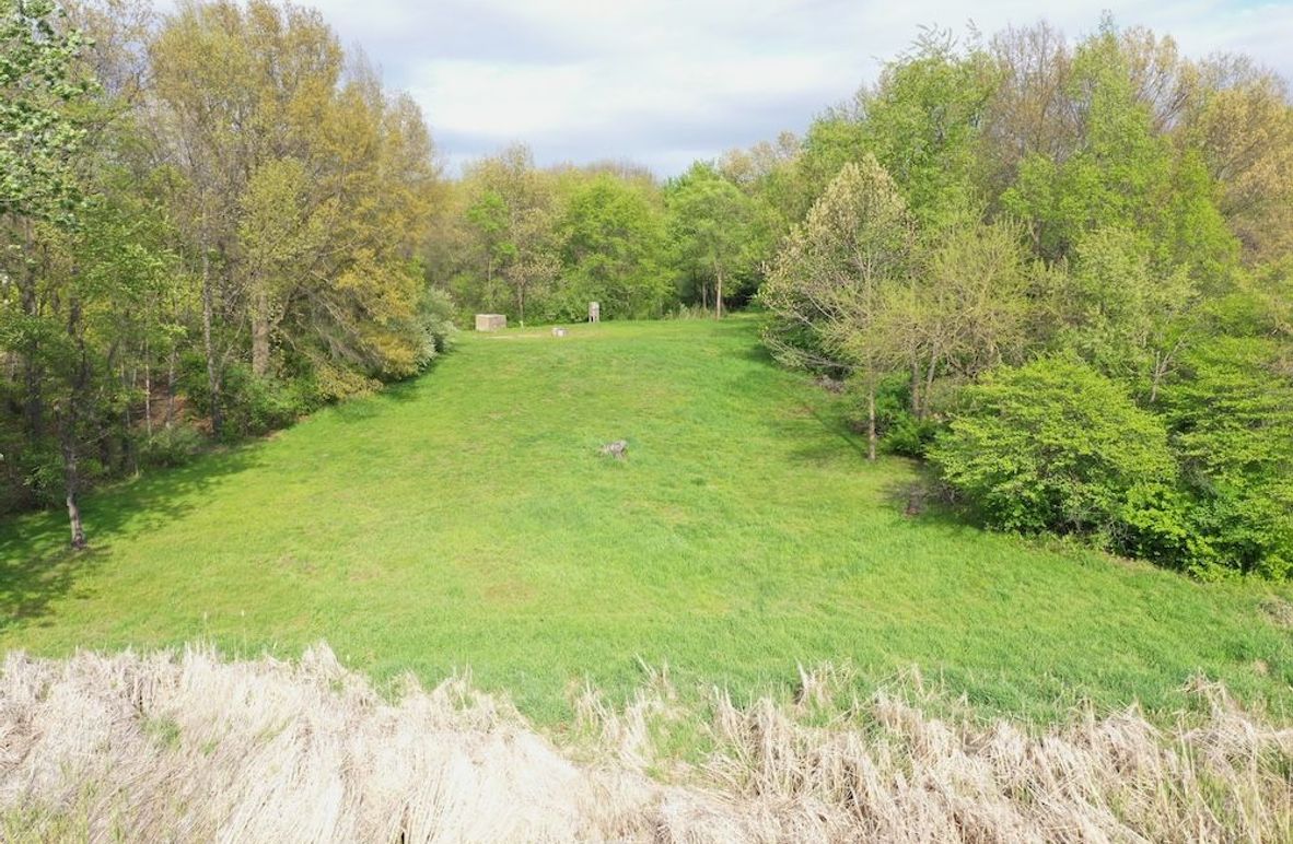 LC154 (2)