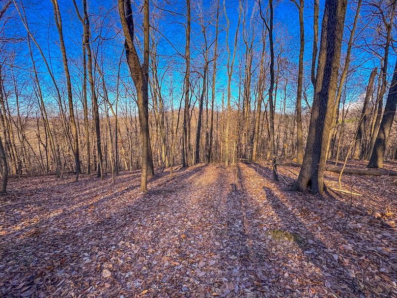 Pleasants, WV 81 AC Barron-26