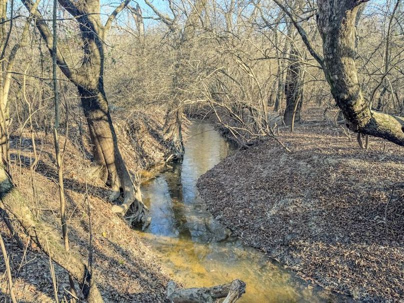 St. Francis 216.9 Calvin Parker Farms Profile -38