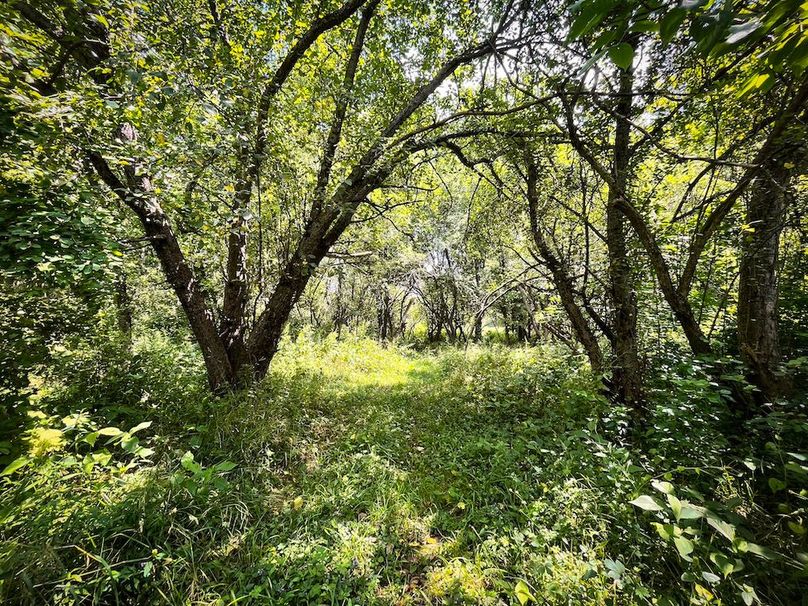 Oswego_21.25-Paro_Photos_15