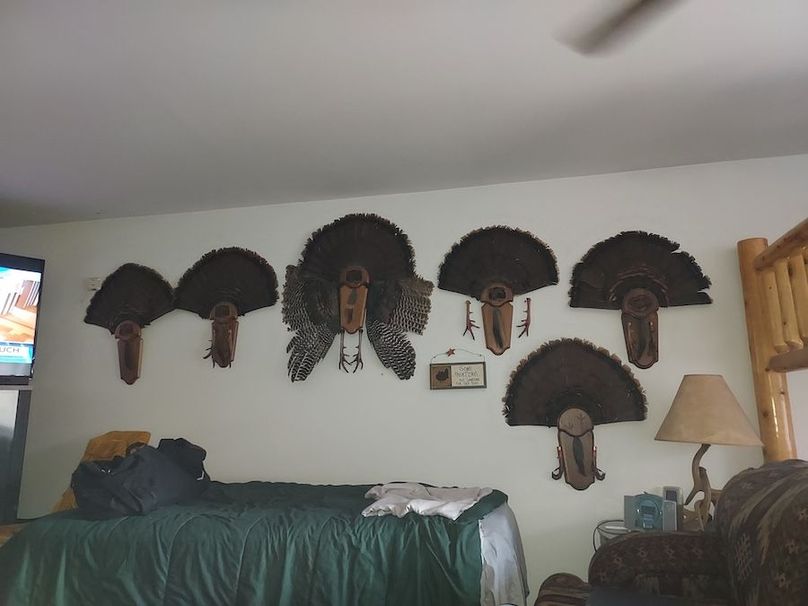 Resized_20230407_190552