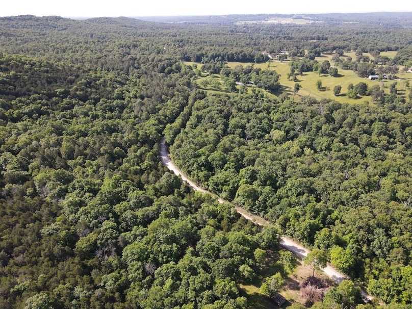 dji_fly_20260514_092548_768_1778768806614_photo