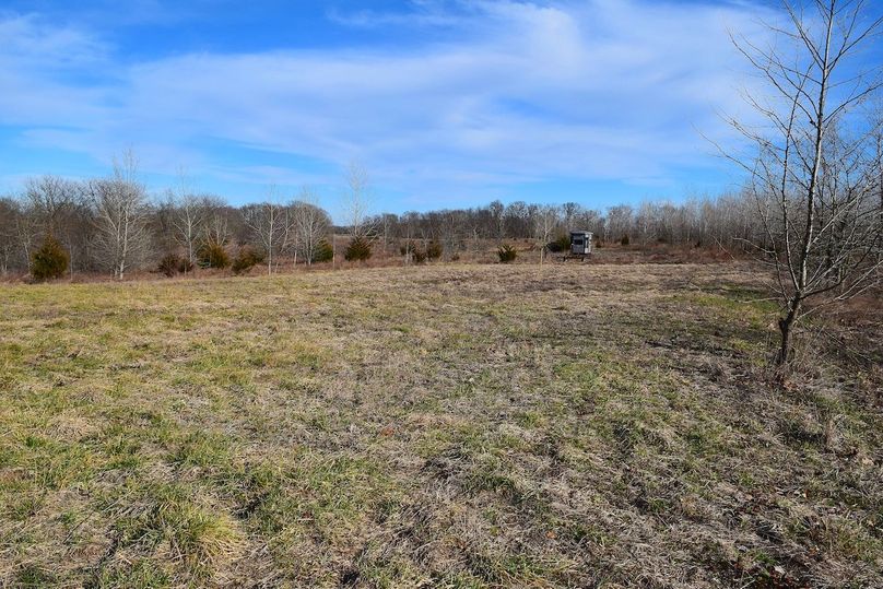 DSC_0334_inPixio (2)