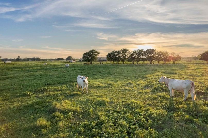 Grayson County- Petska 62 Acres (1.1 of 15)