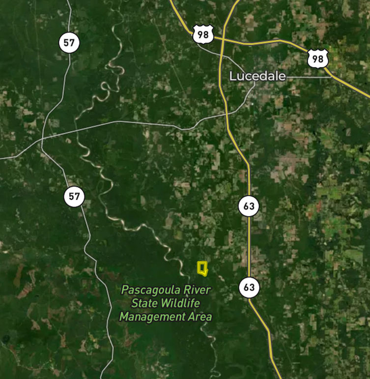 Screen Shot 2024-05-13 at 10.38.35 AM