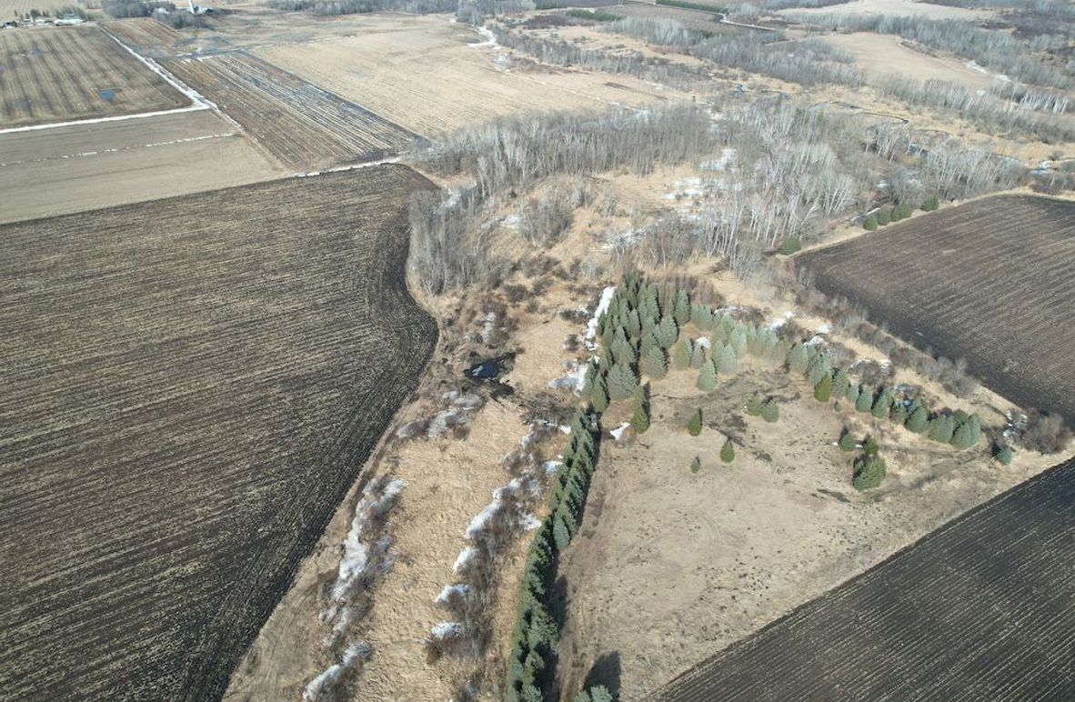 dji_fly_20260319_161326_122_1773955113087_photo