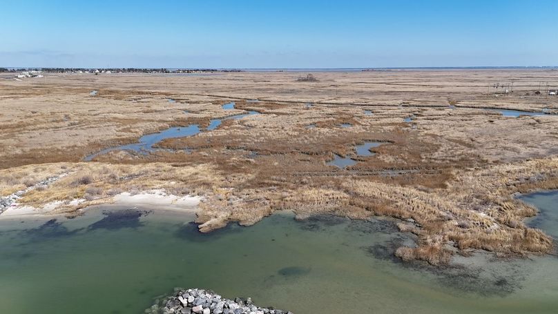 dji_fly_20250303_125456_0030_1741039479793_photo
