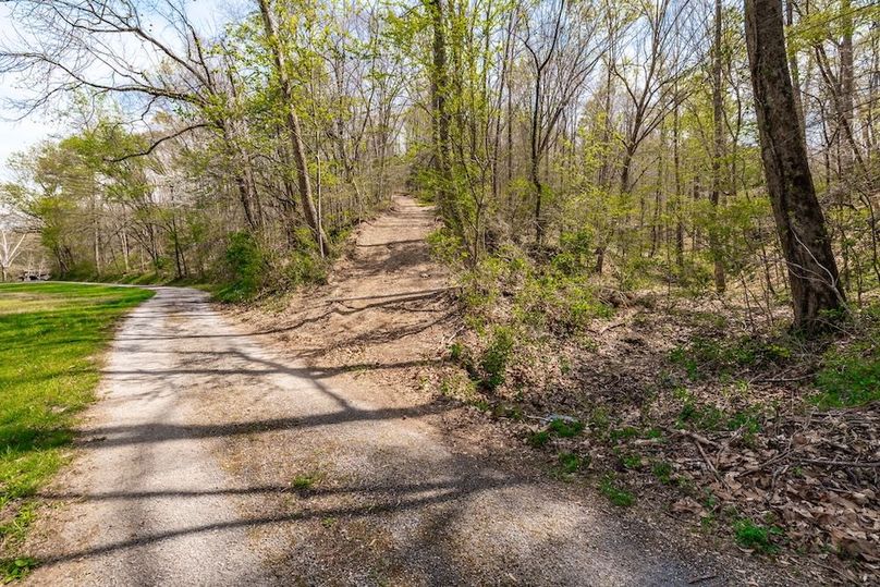 110-web-or-mls-0 Mound Creek Rd-80