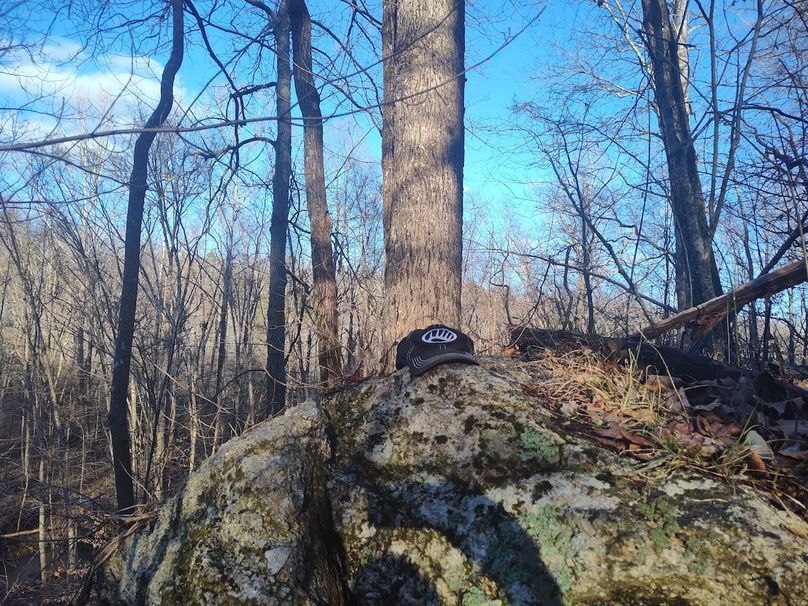 IMG_20240302_165334000