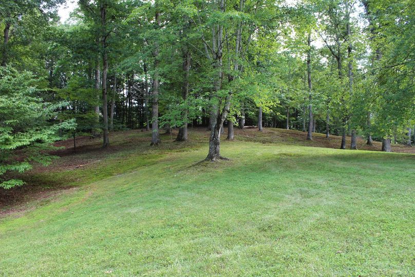 008 the yard view out the east side of the home