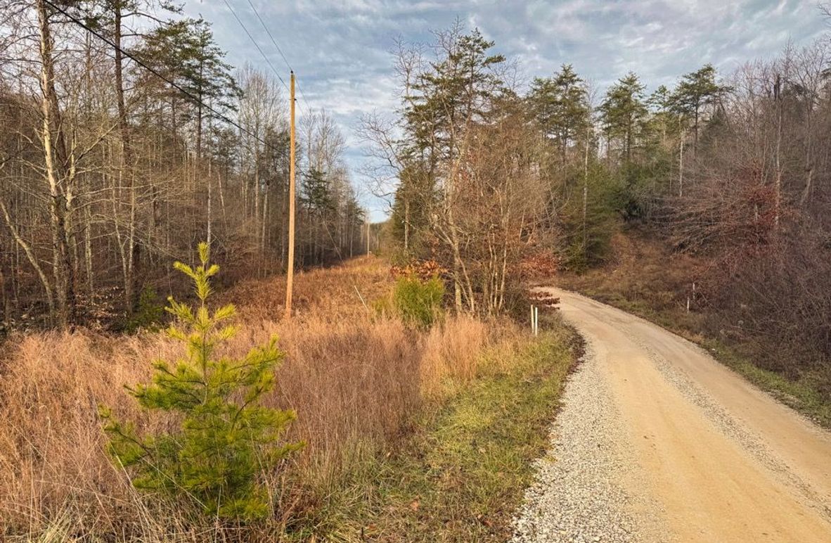 004 county maintained gravel road frontage with electric on site-2