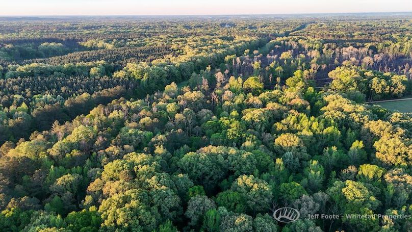 Hinds Co - 51 - Hughes-72