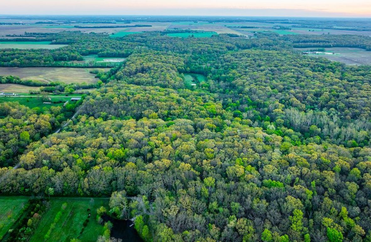 DJI_20250423054843_0018_D