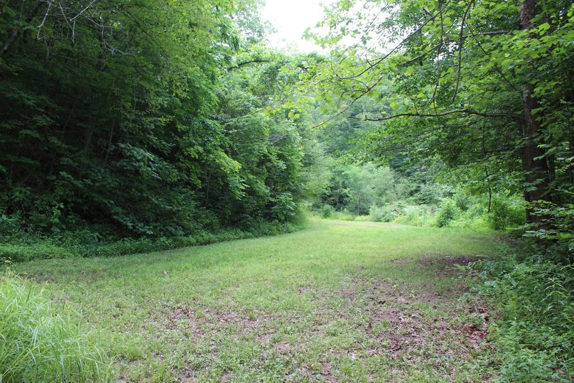 022 small field area in the middle of the south valley