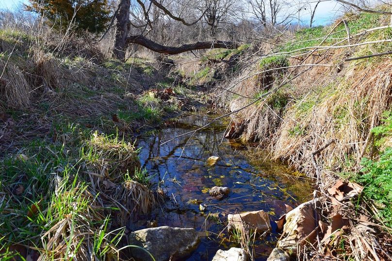 DSC_0335_inPixio (2)