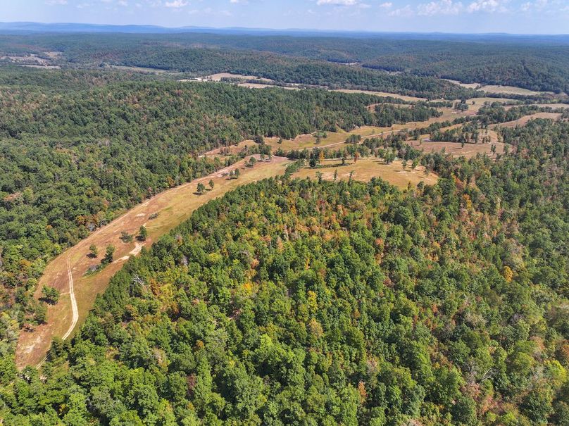 DJI_20250915125141_0635_D