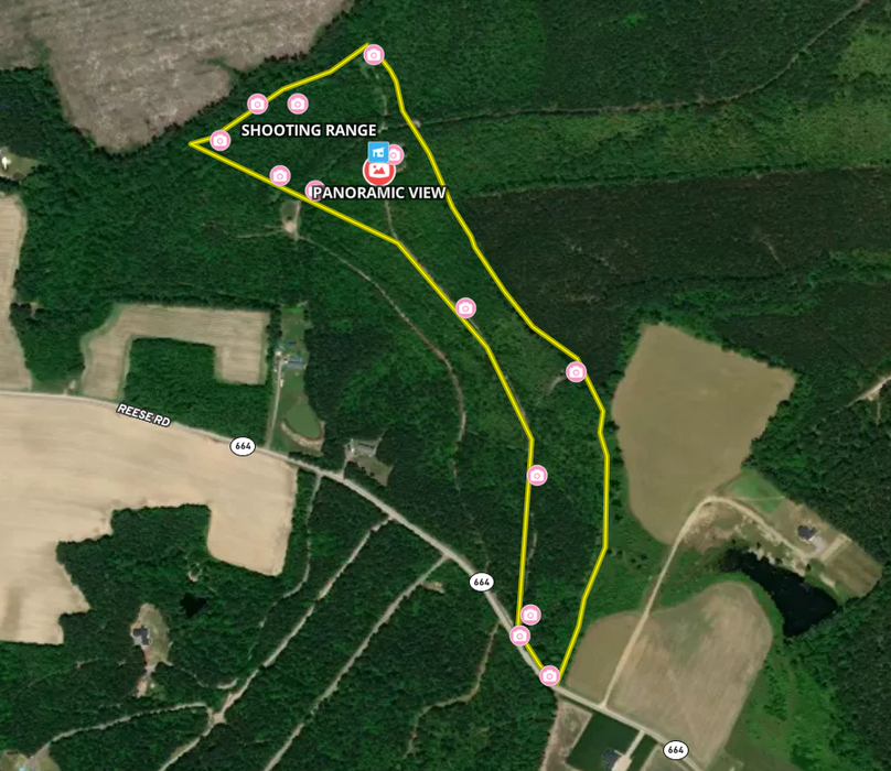 Aerial Custom Features