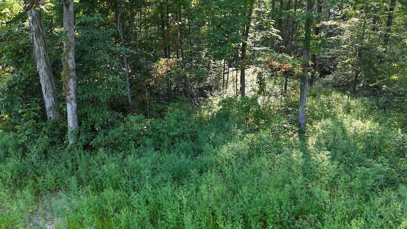 DJI_20250808180130_0769_D